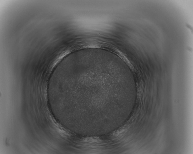 X0000096490386200801311623