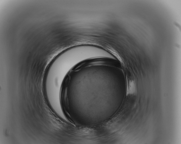 X0000096490387200801311623