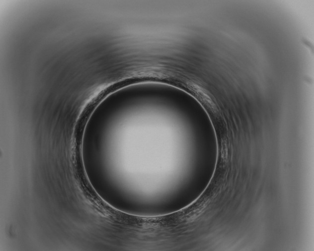 X0000096490388200801311623