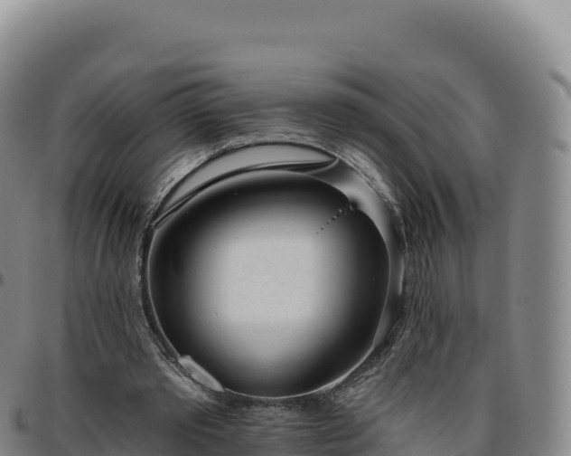 X0000096490389200801311623