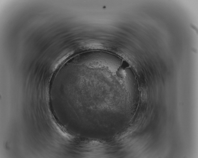 X0000096490390200801311623