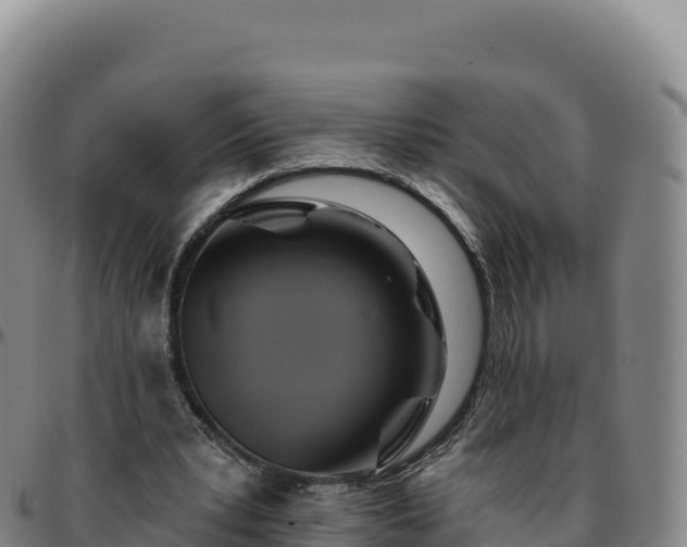 X0000096490391200801311623