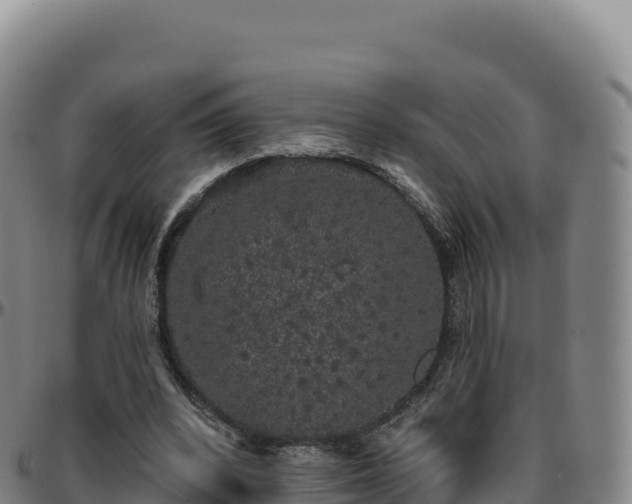 X0000096490392200801311623