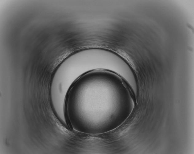 X0000096490393200801311623