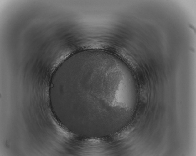 X0000096490394200801311623