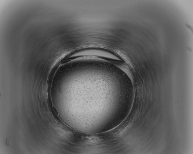 X0000096490395200801311623