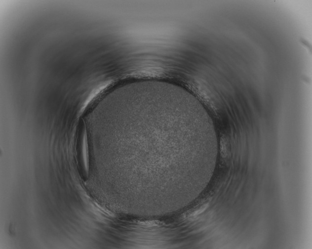 X0000096490396200801311623