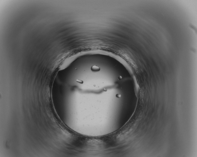 X0000096490397200801311623