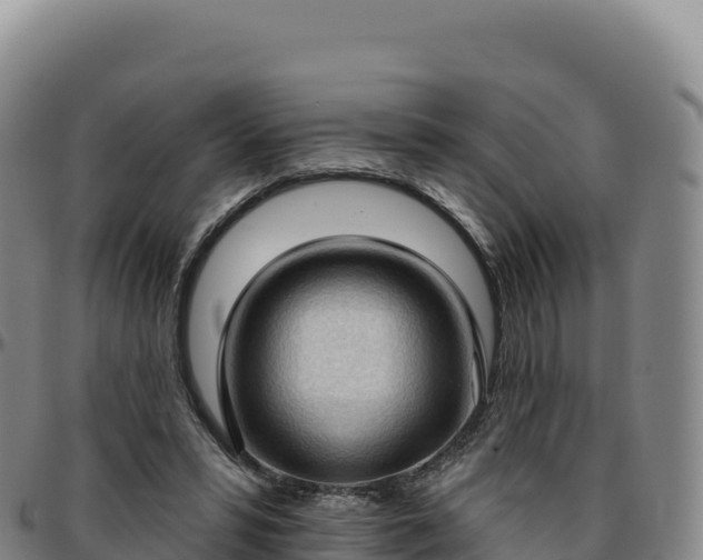 X0000096490399200801311623