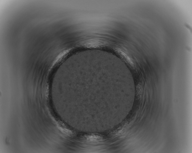 X0000096490400200801311623