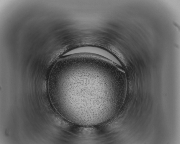 X0000096490401200801311623