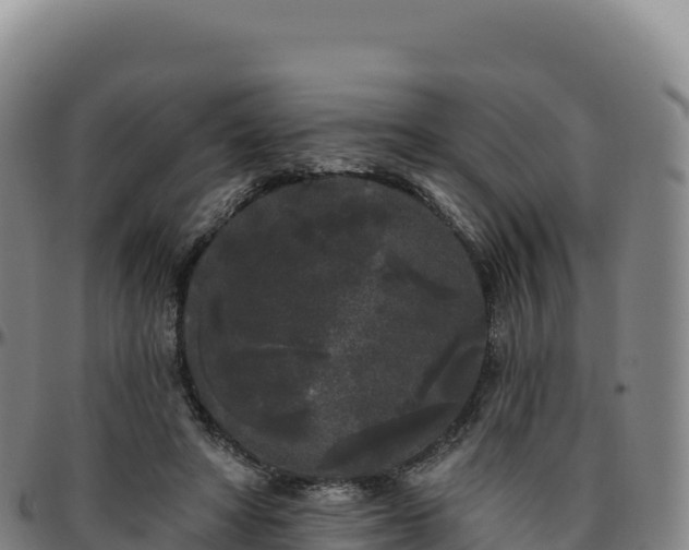 X0000096490402200801311623