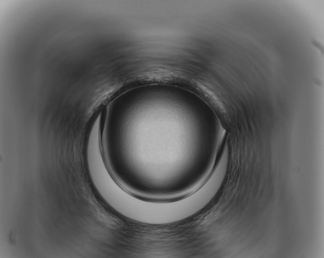 X0000096490403200801311623