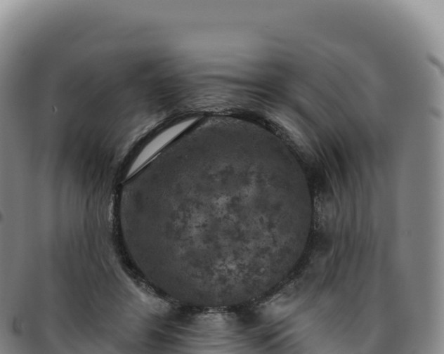 X0000096490404200801311623