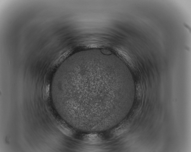 X0000096490406200801311623