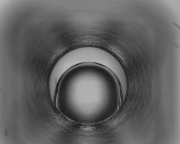 X0000096490407200801311623