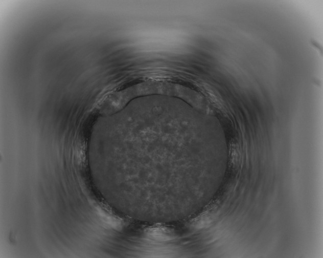 X0000096490408200801311623