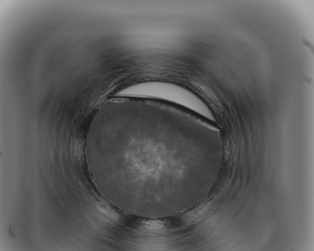 X0000096490409200801311623