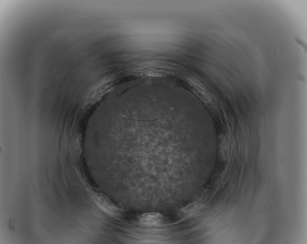 X0000096490410200801311623