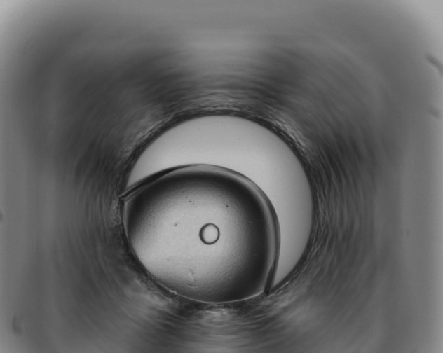 X0000096490411200801311622