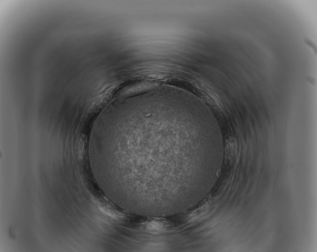 X0000096490412200801311622