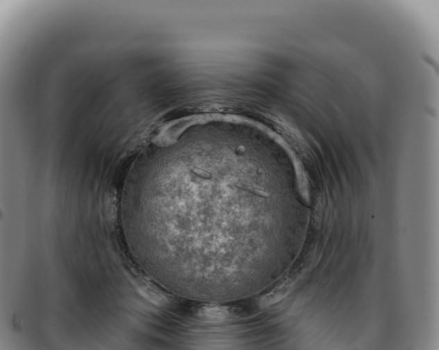 X0000096490413200801311622