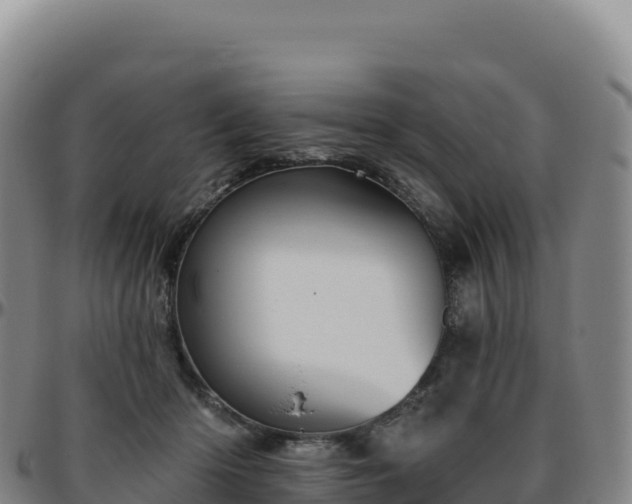 X0000096490414200801311622