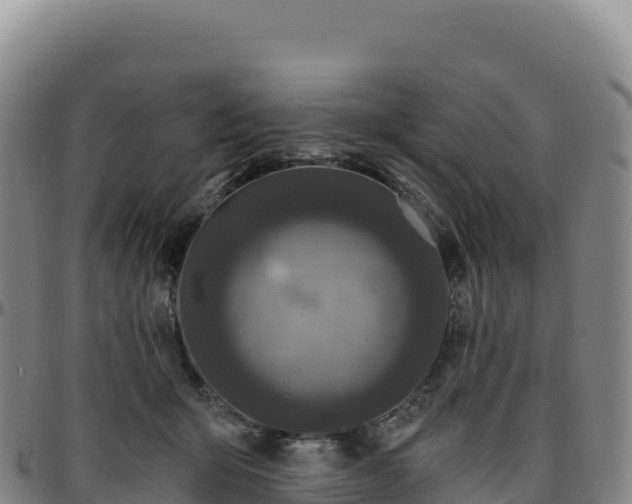 X0000096490415200801311622