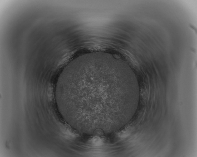 X0000096490416200801311622