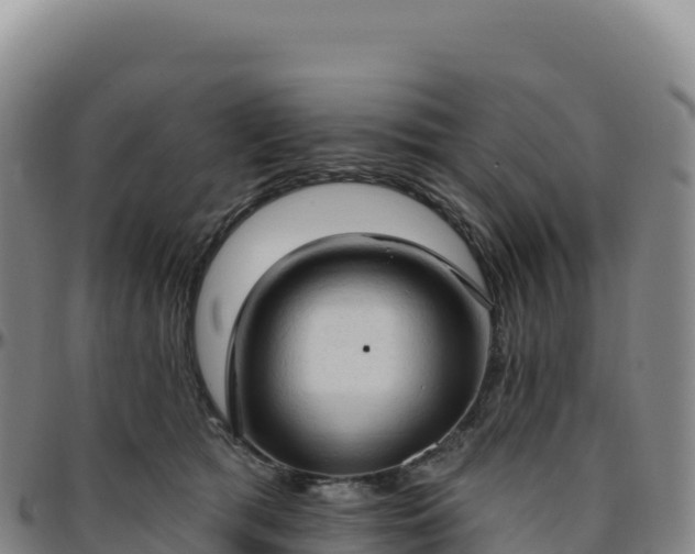 X0000096490417200801311622