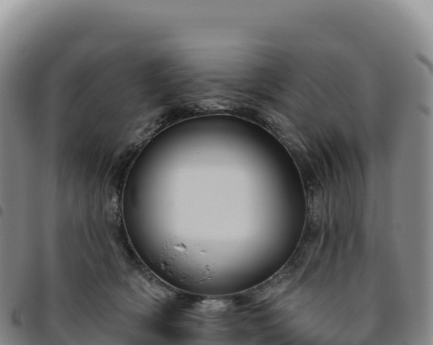 X0000096490418200801311622