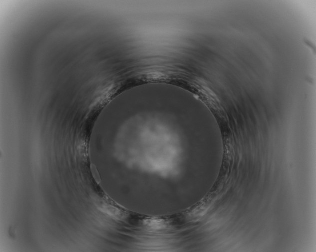 X0000096490419200801311622