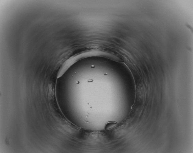 X0000096490420200801311622