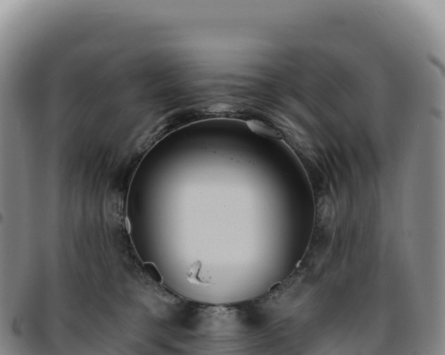 X0000096490421200801311622