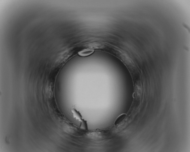 X0000096490422200801311622