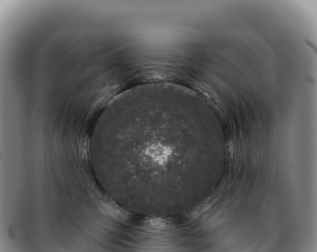 X0000096490423200801311622