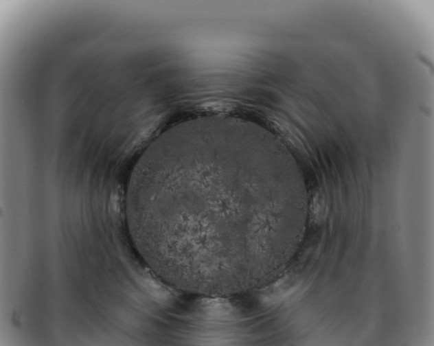X0000096490424200801311622