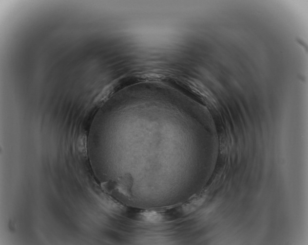 X0000096490425200801311622