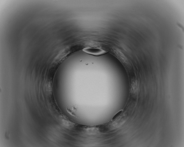 X0000096490426200801311622