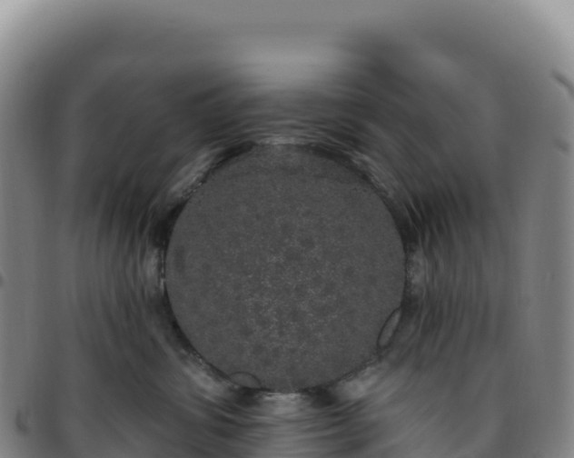 X0000096490428200801311622