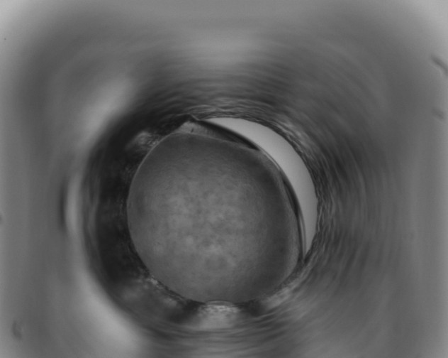 X0000096490429200801311622