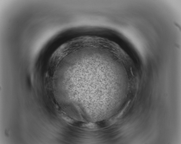 X0000096490431200801311622