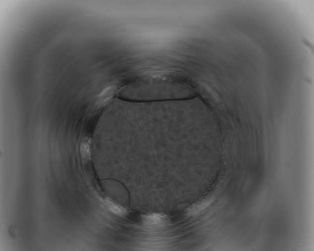 X0000096490432200801311622