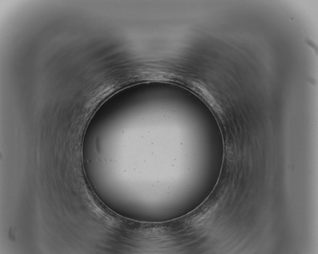 X0000096490433200801311622