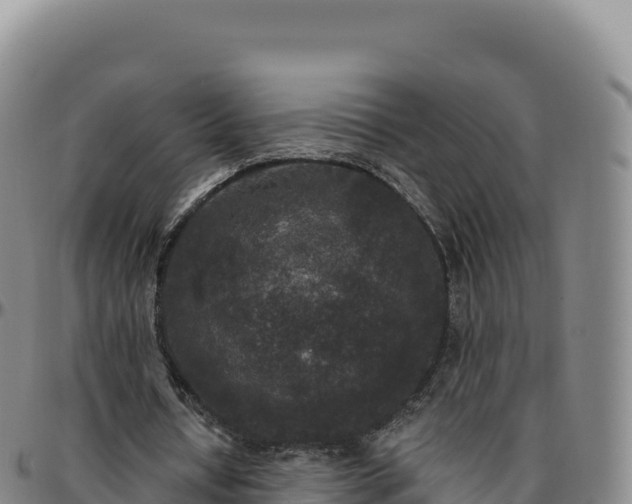 X0000096490434200801311622