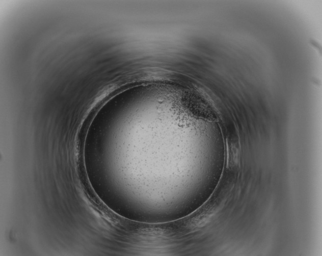 X0000096490435200801311622