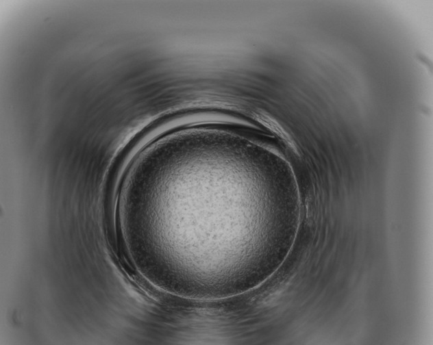 X0000096490436200801311622