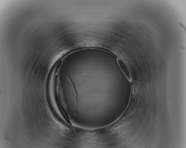 X0000096490438200801311622