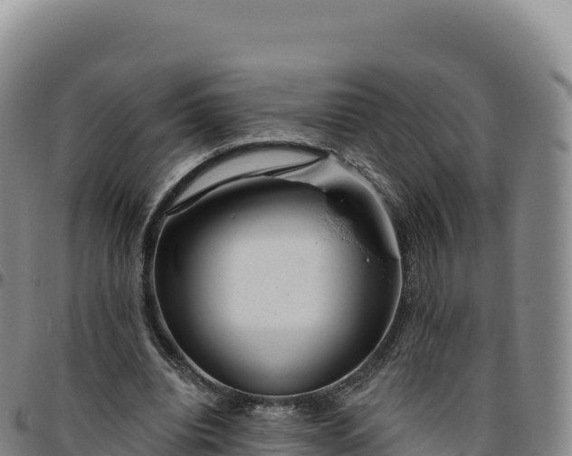 X0000096490440200801311622