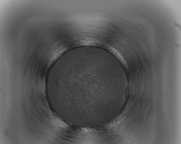 X0000096490442200801311622